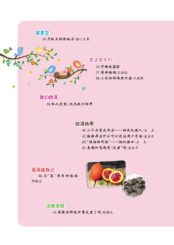 《少兒科技》2020年第1-2期目錄